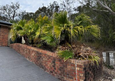 Garden cleanup in lake macquarie