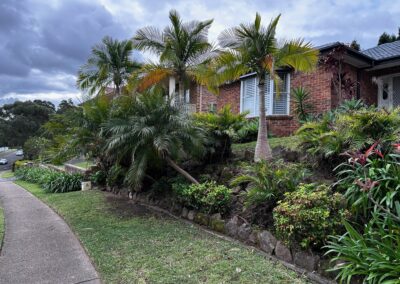 Garden cleanup in lake macquarie