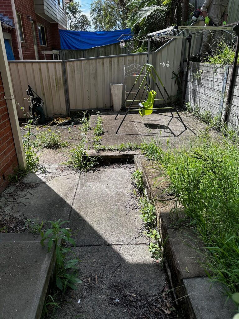 Garden cleanup in lake macquarie